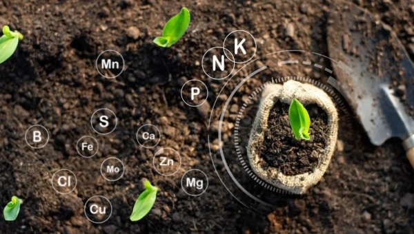 Λιπάσματα: Μέχρι και τον Αύγουστο η επιδότηση (Update)